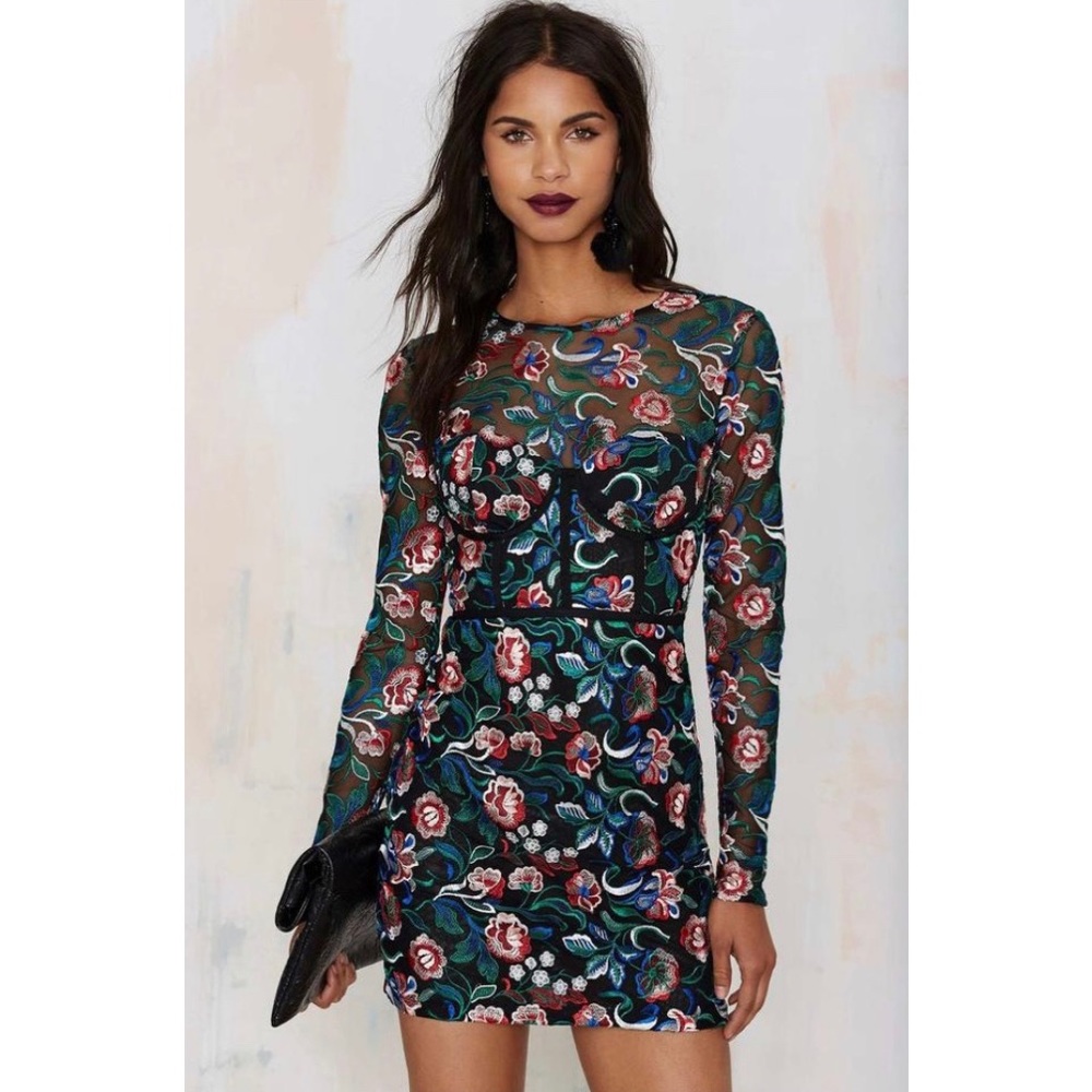 Nasty Gal Floral Embroidery Dress